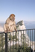 Gibraltar